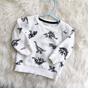 Boys white dinosaur sweatshirt